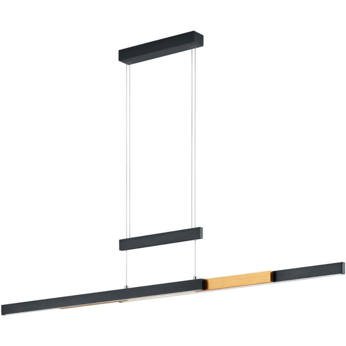 Trio Trajan 375310502 uitschuifbare zwart met messing hanglamp met trekpendel