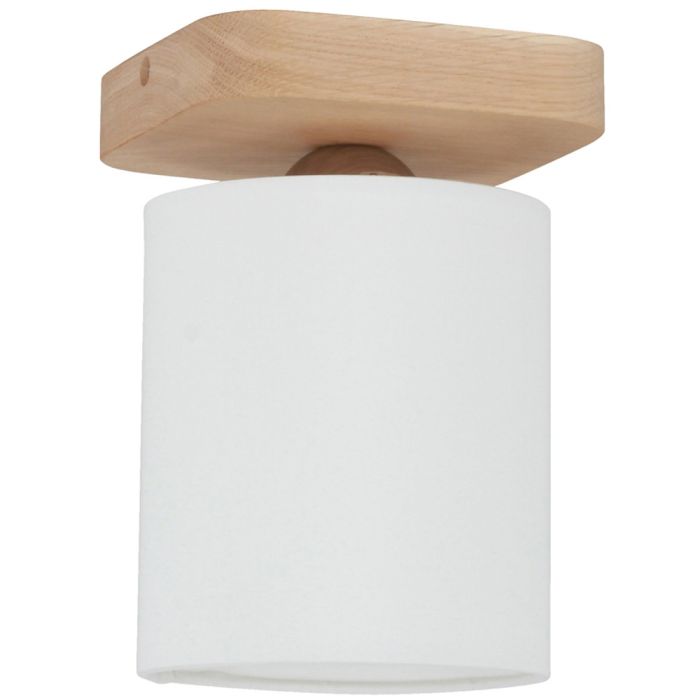 Spotlight Jenta 8512174 landelijk plafondlampje