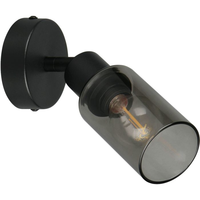 Reality Mars zwarte wandspot met cilindervormig rookglazen kapje met een diameter van 8cm