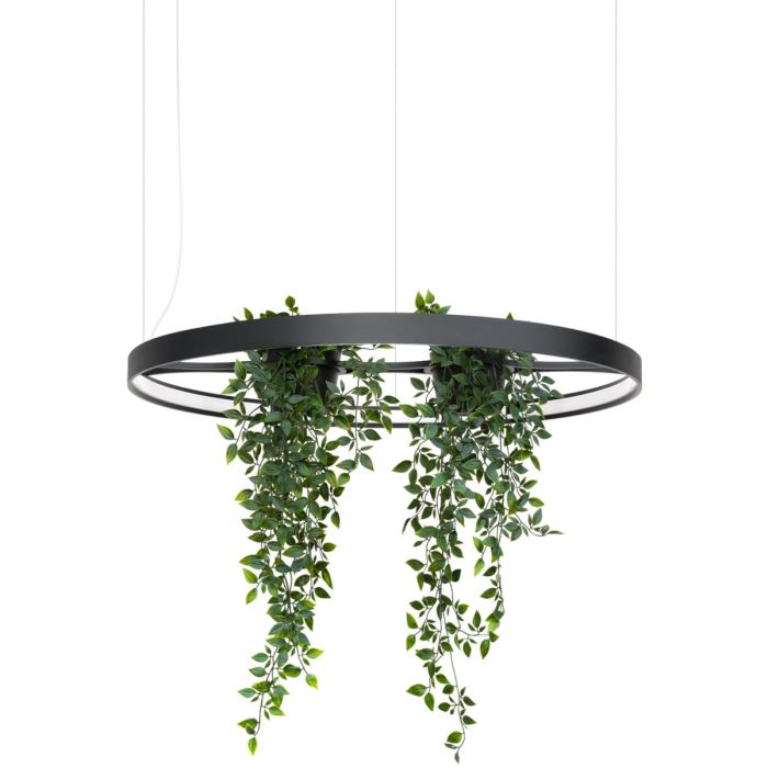 zwarte cirkelvormige hanglamp met een diameter van 78 cm met LED in de ring en in het midden twee houders met planten