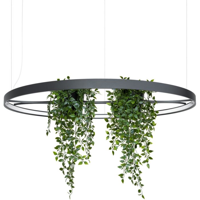 zwarte cirkelvormige hanglamp met een diameter van 110 cm met LED in de ring en in het midden twee houders met planten