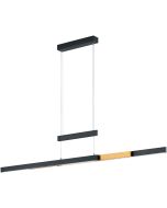 Trio Trajan 375310502 uitschuifbare zwart met messing hanglamp met trekpendel