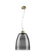 Spotlight Campana 9843074 rookglazen hanglamp