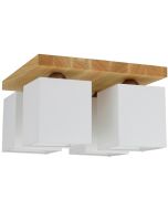 Spotlight Inger 2284474 landelijke plafondlamp