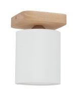 Spotlight Jenta 8512174 landelijk plafondlampje