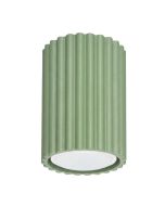 Plafondlamp Karbon saliegroen 7cm