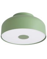 Plafonniere Omiq saliegroen 30cm