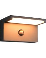 Trio Ravi antraciet grijze wandlamp met beweginsmelder van 18 cm breed geschikt voor kustgebieden met een LED paneel naar beneden gericht