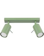 Plafondspot Ring saliegroen 30cm