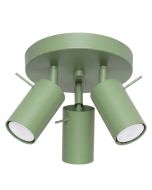 Plafondspot Ring saliegroen 26cm