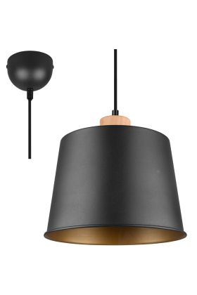 Trio Harris 312700132 mat zwarte hanglamp met hout