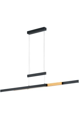 Trio Trajan 375310502 zwart met messing hanglamp