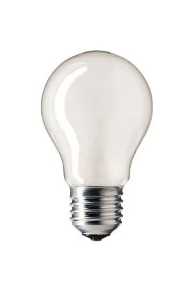 A60 E27 gloeilamp peer 100w mat