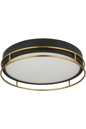Searchlight Phoenix 62013-3PB zwarte badkamerlamp met messing rand