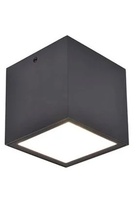 Lutec Gemini 6389101118 antraciet grijze plafondlamp