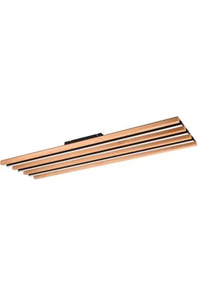 Trio Fontana 648911332 zwart met houtkleurige plafondlamp
