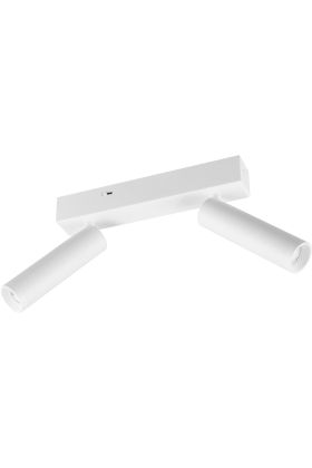 Trio Ambala 849210231 witte spot met instelbare lichtkleur