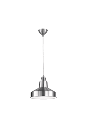 Trio Buddy R30201007 hanglamp staal