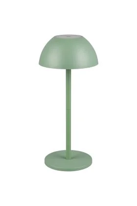 Reality Ricardo R54106149 pistache groene tafellamp op batterijen