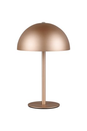 Reality Munoz R54891115 groen oplaadbaar tafellampje