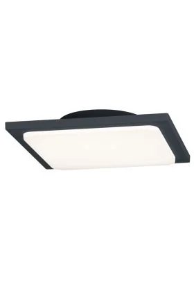 Trio Trave 620160142 plafondlamp antraciet