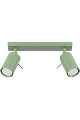 Plafondspot Ring saliegroen 30cm