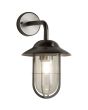 Searchlight Toronto 3291SS mat zilverkleurige buitenlamp met hangende lantaarn van glas en een metalen kooi