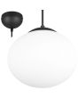 Trio Fomento 363100132 mat zwarte hanglamp met bolvormig wit glas