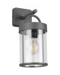 Reality Almeria antraciet grijze wandlamp voor buiten van 29cm hoog met hangende cilindervormige lantaarn van transparant kunststof