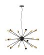 Brilliant Dree 99909/78 grote zwarte hanglamp met 18 armen met elk een messingkleurige fittinghouder