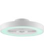 Groen licht brandende Brilliant Catania witte plafondventilator van 48,6 cm in diameter met LED rand rond de ventilator voor RGB licht of CCT wit licht
