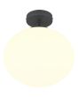 Trio Fomento 663100132 wit bolvormig glazen brandende plafondlamp met mat zwarte plafondhouder