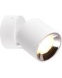 Trio Guayana 651000131 witte richtbare spot met reflector, opgebouwd