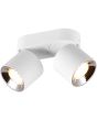 Trio Guayana 651000231 mat witte dubbele richtbare spot met reflector, opgebouwd