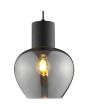 Detailfoto van de kap van de Brilliant Ligari zwarte hanglamp met bolvormige rookglazen kap van 23 cm in diameter met brandende LED lamp