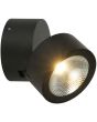 brandende wandspot manhattan voor buiten van 9 cm en een hoge lichtopbrengst