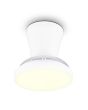Reality Moss witte plafondventilator van 22 cm in diameter met ingeklapte wieken en witte LED unit in het midden