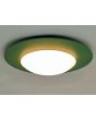 Niermann Saturnus groen 6505