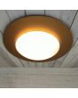 Niermann Saturnus goud 6509