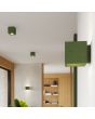 Sfeerfoto van Sollux Quad olijf groene vierkante wandlamp van 10cm in doorsnede met up en down licht met een G9 fitting in een hal met meerdere lampen uit dezelfde serie
