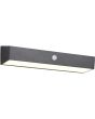 Reality Silves R23306102 zwarte wandlamp op zonne-energie