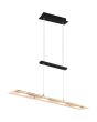 Trio Milos zwarte hanglamp van 80 cm lang met trekpendel en glazen plaat