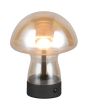 Reality Dooley R54981113 brandende amber glazen oplaadbare tafellamp in paddenstoel vorm op batterijen