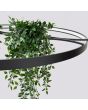 Detailfoto bovenaanzicht van de zwarte cirkelvormige hanglamp met een diameter van 110 cm met LED in de ring en in het midden twee houders met planten
