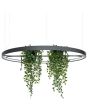 zwarte cirkelvormige hanglamp met een diameter van 110 cm met LED in de ring en in het midden twee houders met planten