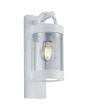 Trio Sambesi 204160131 brandende witte wandlamp voor buiten met een rechthoekige wandplaat en hangende cilindervormige kap met dag nacht sensor