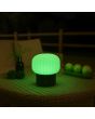 Sfeerfoto van de Brilliant Sarastro zwarte kunststof oplaadbare tafellamp voor buiten met wit ribbelglazen ovale kap met een hoogte van 14 cm en een diameter van 12,5 cm met groen licht op een rotan tuintafel