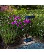 Sfeerfoto van Lutec Spido zwarte rechthoekige sokkellamp van 60 cm hoog met lantaarn staande op 10 spijlen met zonnepaneel op de kop voor veld met bloemen