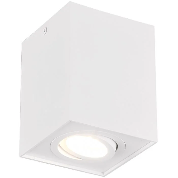 Trio Biscuit 613000131