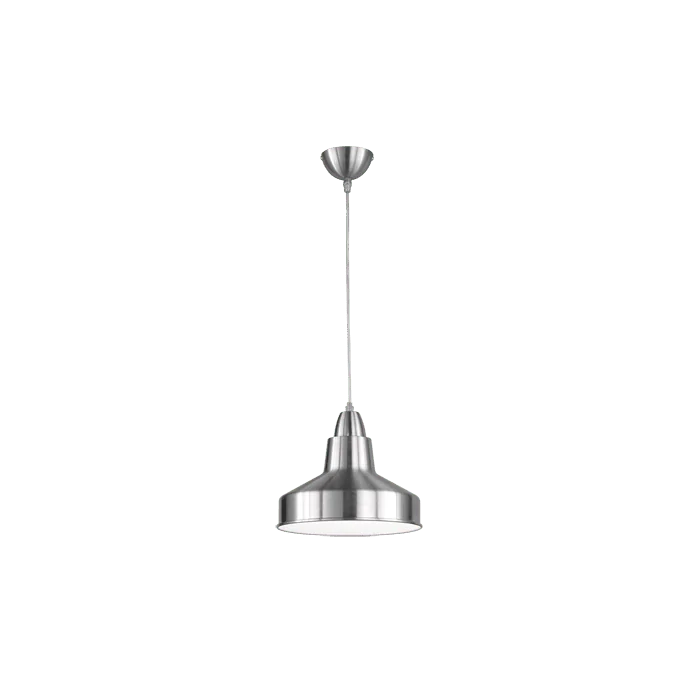 Trio Buddy R30201007 hanglamp staal